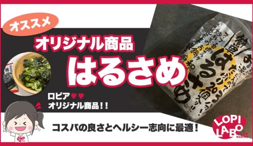 【ロピア】春雨の価格とパック数｜コスパの良さとアレンジレシピを紹介【オリジナル商品】