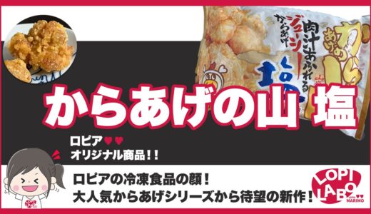 【ロピア】からあげの山 塩の口コミレビュー｜国産？値段と産地を紹介【オリジナル商品】